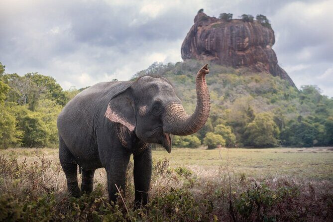 Sigiriya and Dambulla Cave Temple Private Day Trip From Bentota - Final Thoughts: Why This Tour is Worth Considering