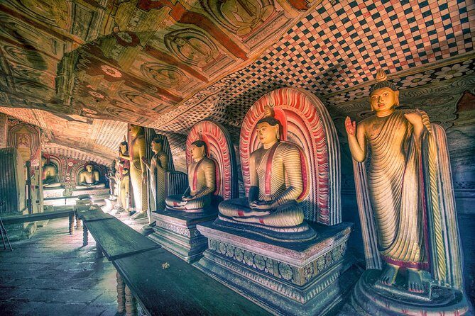 Sigiriya and Dambulla from Kandy - A Closer Look at the Experience: What to Expect