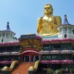 Sigiriya and Dambulla Private Day Tour - A Deep Dive into the Sigiriya and Dambulla Private Day Tour