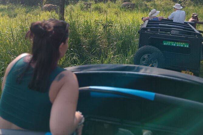 Sigiriya Dambulla Wonders Day Trip from Kandy - A Deep Dive into the Journey: What to Expect