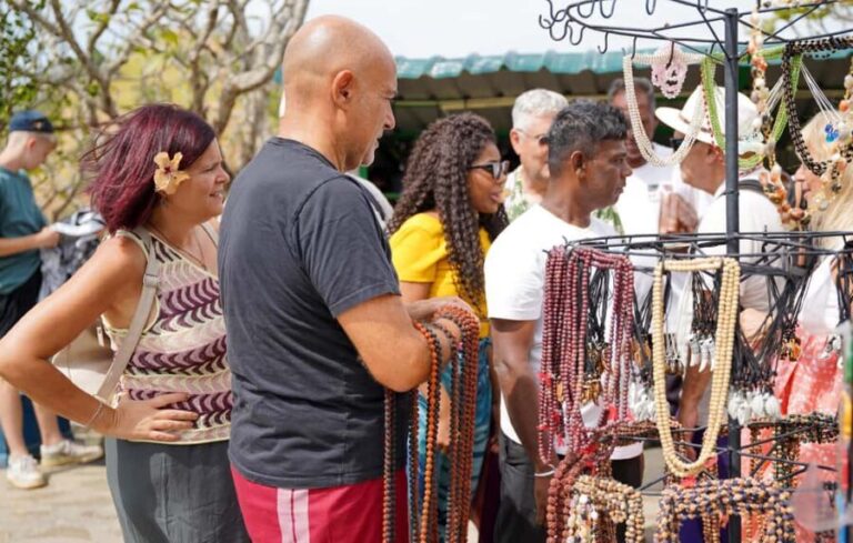 Sigiriya: Day tour from Negombo with hotel transfers - Who This Tour Is Perfect For