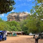Sigiriya Fortress & Dambulla Day Tour From Colombo, Bentota Area - A Deep Dive into the Journey: What to Expect from This Full-Day Tour