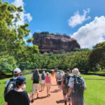 Sigiriya: Lion Rock & Minneriya Safari Full Day Private Tour - What to Expect at Each Stop