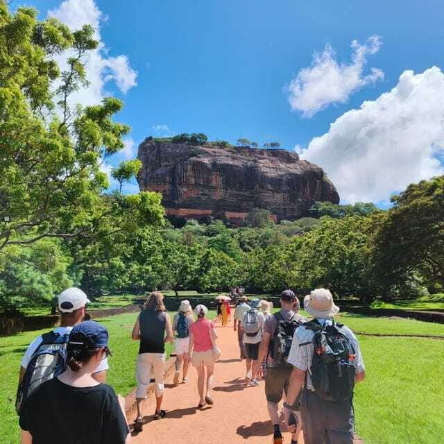 Sigiriya: Lion Rock & Minneriya Safari Full Day Private Tour - What to Expect at Each Stop
