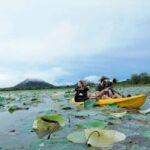 Sigiriya: Sunrise or Sunset Kayaking Tour - The Experience of Paddling and Wildlife Spotting