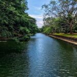 Sigiriya to Negombo Sri Lanka Transport Experience - Authentic Feedback and Real Experiences