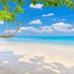 Similan Islands Full Day - Premium - A Deep Dive into the Similan Islands Full-Day Premium Tour