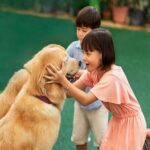 Singapore 3 Park Explorer Pass: Zoo, River Wonders, Bird Paradise - Final Thoughts on the Singapore 3 Park Explorer Pass