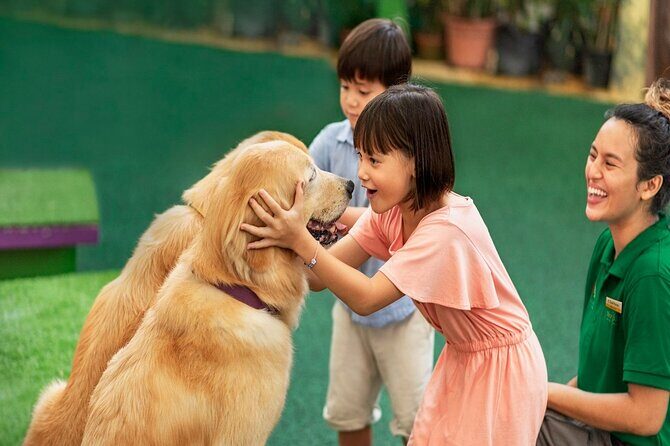 Singapore 3 Park Explorer Pass: Zoo, River Wonders, Bird Paradise - Final Thoughts on the Singapore 3 Park Explorer Pass