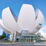 Singapore ArtScience Museum Admission Ticket - Who Should Visit the ArtScience Museum?