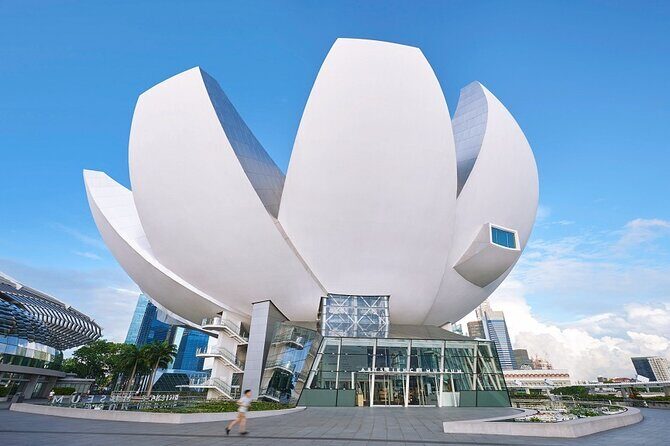 Singapore ArtScience Museum Admission Ticket - Who Should Visit the ArtScience Museum?