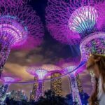 Singapore Guided Night Tour with 2 Light Shows & River Cruise - The Experience: What You Can Expect