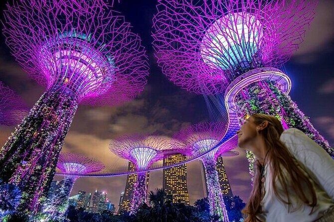 Singapore Guided Night Tour with 2 Light Shows & River Cruise - The Experience: What You Can Expect