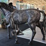 Singapore Museum Entry Tickets - Authentic Experiences and Considerations