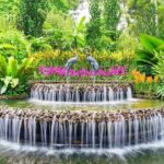 Singapore: National Orchid Garden Admission Ticket - A Deep Dive into the Singapore National Orchid Garden