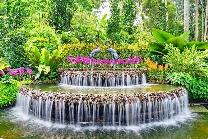 Singapore: National Orchid Garden Admission Ticket - A Deep Dive into the Singapore National Orchid Garden