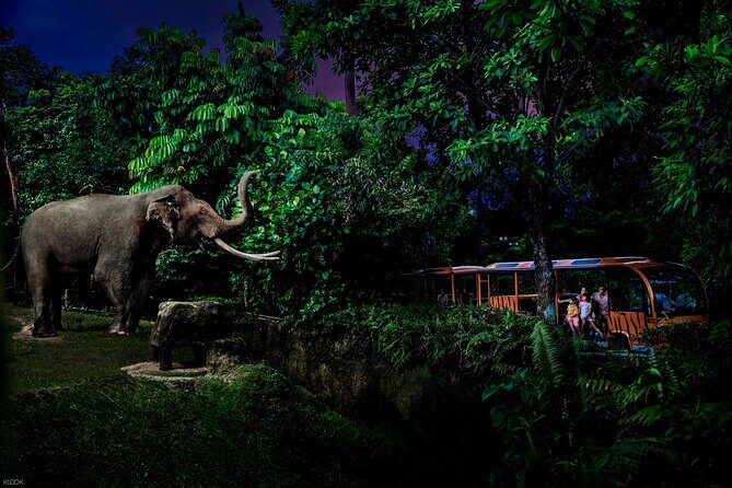 Singapore Night Safari Ticket Experience - Final Thoughts: Is It Worth It?