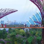 Singapore OCBC Skyway Flower dome Cloud Forest Garden by the Bay - The Experience: What to Expect