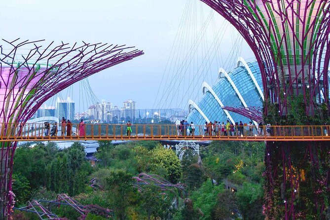 Singapore OCBC Skyway Flower dome Cloud Forest Garden by the Bay - The Experience: What to Expect