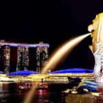 Singapore Private Customized City Tour with Driver - Who Is This Tour Best Suited For?