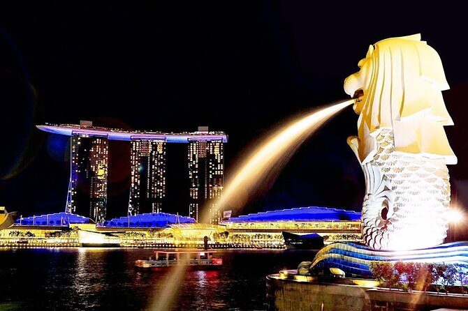 Singapore Private Customized City Tour with Driver - Who Is This Tour Best Suited For?