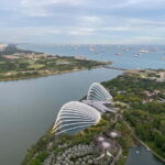 Singapore: Private Customized Tour with transportation - Final Thoughts