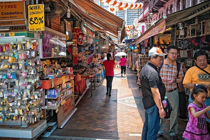 Singapore Private Full-Day Sightseeing Tour - A Deep Dive into the Experience