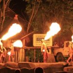 Singapore River & Night Safari-COMBO (Shared Transfer) - Who Should Consider This Tour?