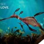 Singapore: Singapore Oceanarium Entrance Ticket - Practical Tips & Considerations