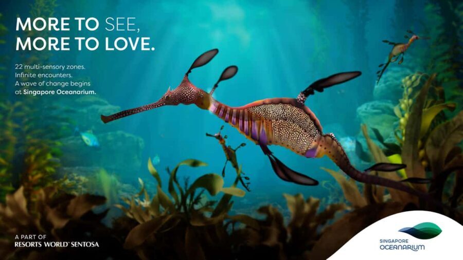 Singapore: Singapore Oceanarium Entrance Ticket - Practical Tips & Considerations