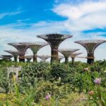 Singapore Street Food Tour with a Local: A Feast for Foodies 100% Personalized - Logistics and Practical Details