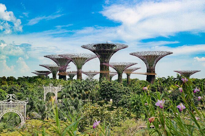 Singapore Street Food Tour with a Local: A Feast for Foodies 100% Personalized