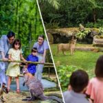 Singapore Zoo and Night Safari Tickets - FAQs