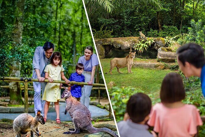 Singapore Zoo and Night Safari Tickets - FAQs