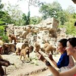 Singapore Zoo with Tram Ride Experience for Tourist - Who Should Consider This Tour?