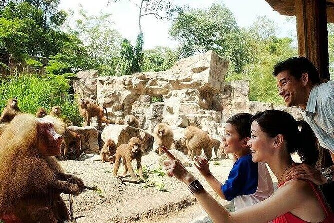Singapore Zoo with Tram Ride Experience for Tourist - Who Should Consider This Tour?