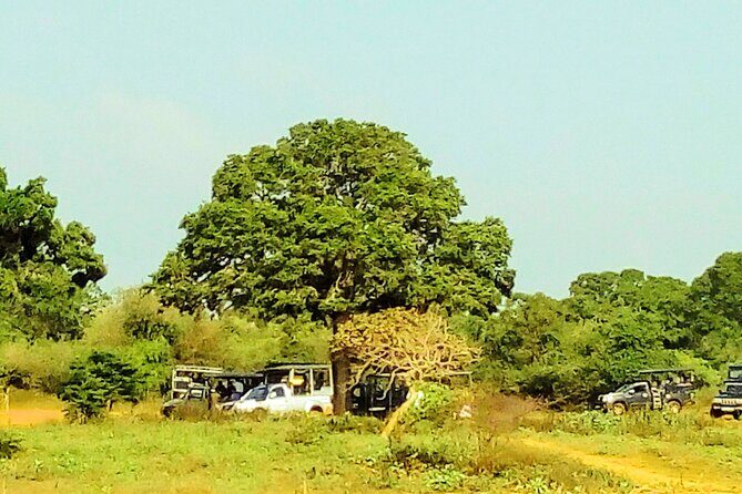 Sinharaja Rainforest & Udawalawe Safari - 2 Days, All Inclusive - Why This Tour Stands Out