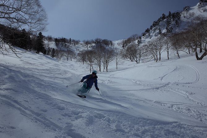 Ski lesson around KARUIZAWA - Who Would Love This Tour?
