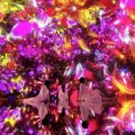 Skip the Line TeamLab Planets Ticket including Tokyo Hotel Pickup - Final thoughts