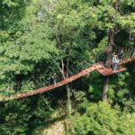 Sky Rock Khaolak Jungle Adventure Zipline Experience - The Itinerary: What You Can Expect