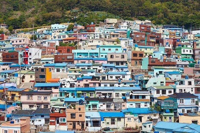 Small Group 7D Korea package Tour with Seoul Gyeongju Busan Jeju - Who Will Love This Tour?