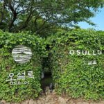 Small group Jeju private Full-Day Tour of East and South and West - The Experience in Detail