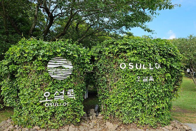 Small group Jeju private Full-Day Tour of East and South and West - The Experience in Detail