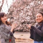 Small Group Shinjuku Gyoen Walking Tour - The Sum Up