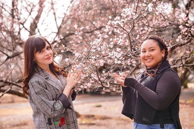Small Group Shinjuku Gyoen Walking Tour - The Sum Up