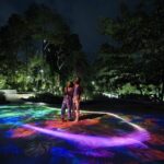 (Small Group) Starry Night Singapore Sentosa Tour - A Detailed Look at the Sentosa Night Experience