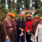 Small Group Tour for Jeju Fall Pink Muhly, Tangerines & Mt. Halla - Final Thoughts: Who’s This Tour For?