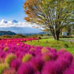 Small Group Tour Mount Fuji and Lake Kawaguchi from Tokyo - An In-Depth Look at the Mount Fuji and Lake Kawaguchi Tour