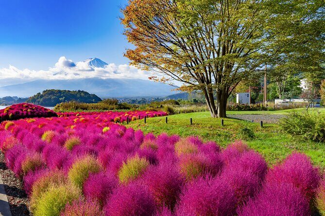Small Group Tour Mount Fuji and Lake Kawaguchi from Tokyo - An In-Depth Look at the Mount Fuji and Lake Kawaguchi Tour