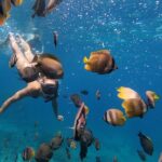 Snorkeling 4 Spot With Manta Bay Or Optional Land Trip - The Sum Up
